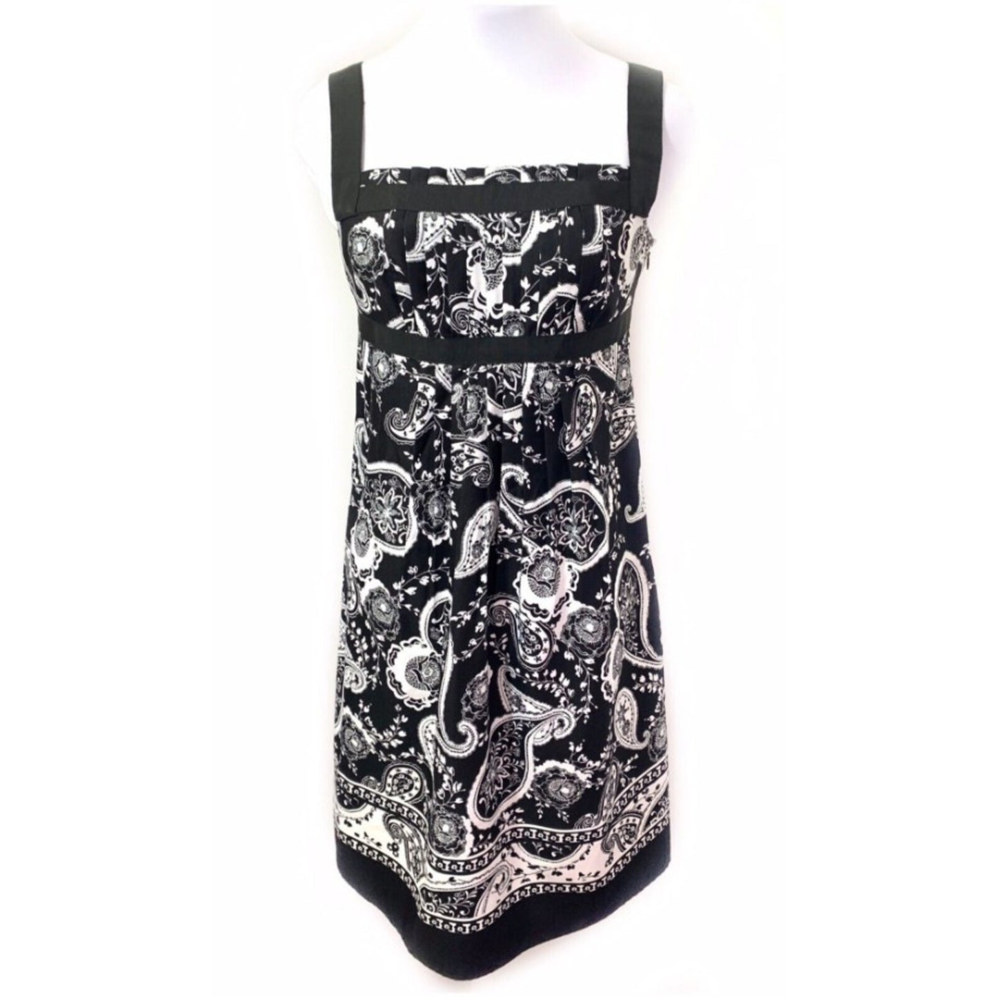 Ann Taylor Paisley Print Dress